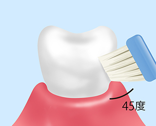 歯みがき指導
