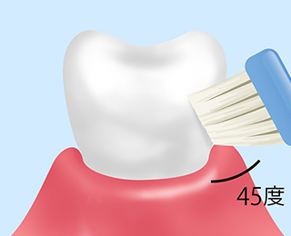 歯みがき指導